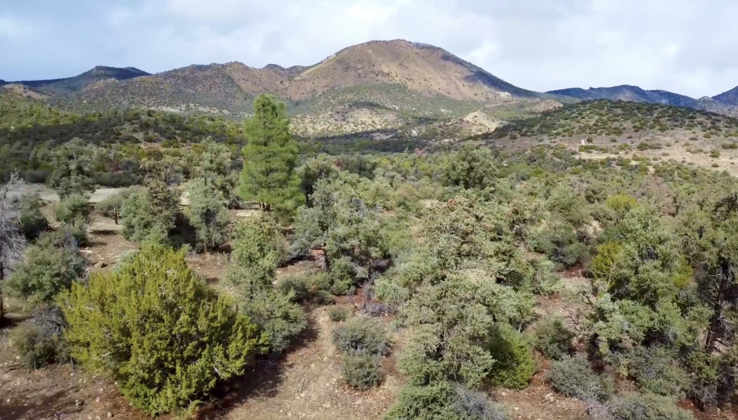 The ranch’s native trees, open terrain, and view toward Sugarloaf Mountain